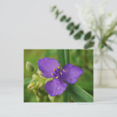 Virginia Spiderwort Flower briefkaart (Staand voorkant)