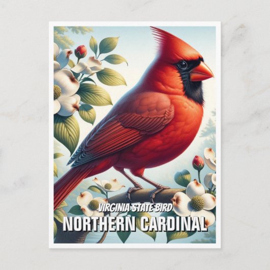 Virginia State Bird - Noordelijke Kardinaal Briefkaart (Voorkant)