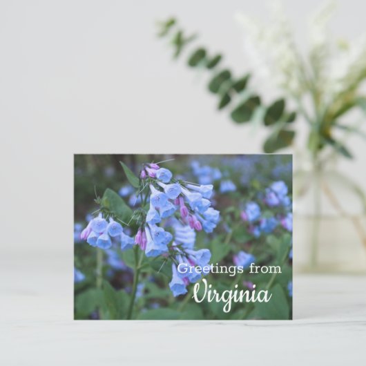 Virginia State Bluebell Flowers Briefkaart (Staand voorkant)