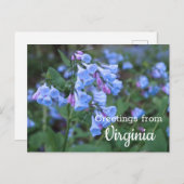 Virginia State Bluebell Flowers Briefkaart (Voorkant / Achterkant)