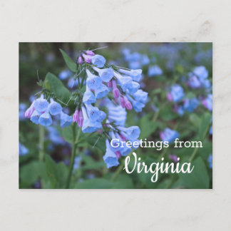 Virginia State Bluebell Flowers Briefkaart