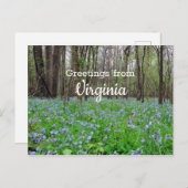 Virginia State Bluebell Flowers Briefkaart (Voorkant / Achterkant)