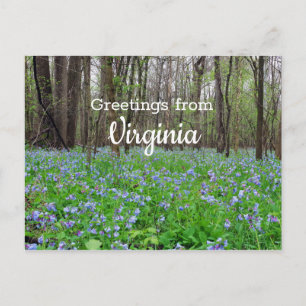 Virginia State Bluebell Flowers Briefkaart