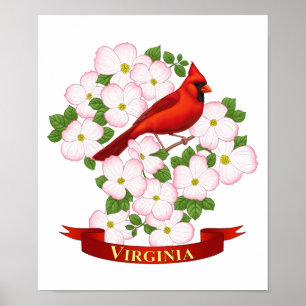 Virginia State Cardinaal Bird and Dogwood Flower Poster