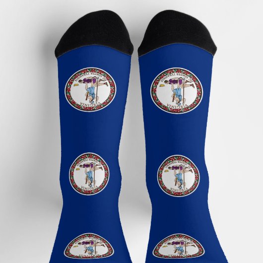 Virginia State Flag Sokken (Top)