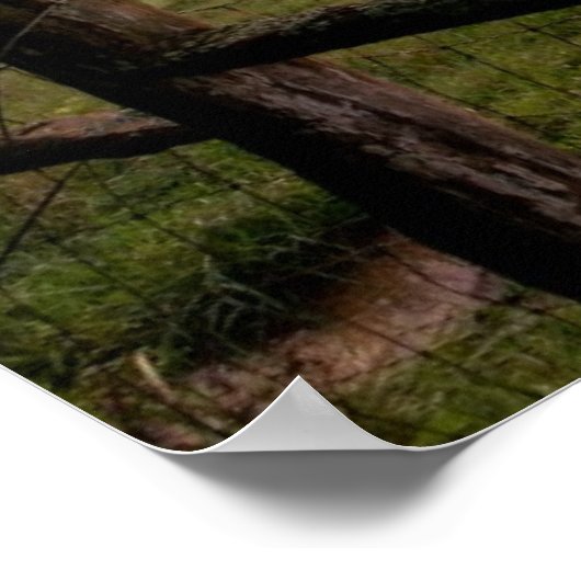 Virginia Sunset Poster (Hoek)