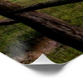 Virginia Sunset Poster (Hoek)