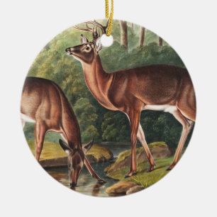 Virginiaanse deer (Cervus Virginianus) Illustratie Keramisch Ornament