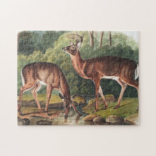Virginiaanse deer (Cervus Virginianus) Illustratie Legpuzzel (Horizontaal)