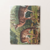 Virginiaanse deer (Cervus Virginianus) Illustratie Legpuzzel (Verticaal)