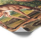Virginiaanse deer (Cervus Virginianus) Illustratie Poster (Hoek)