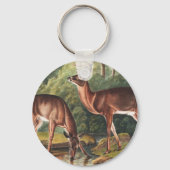 Virginiaanse deer (Cervus Virginianus) Illustratie Sleutelhanger (Voorkant)
