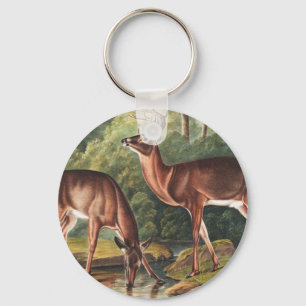 Virginiaanse deer (Cervus Virginianus) Illustratie Sleutelhanger
