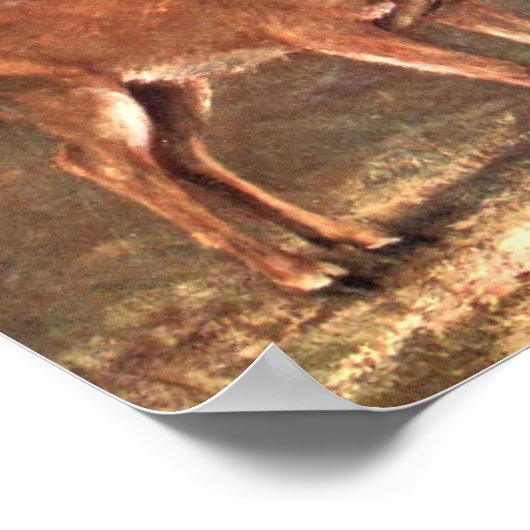 Virginiaanse Deer, ook bekend als White Tailed Dee Poster (Hoek)