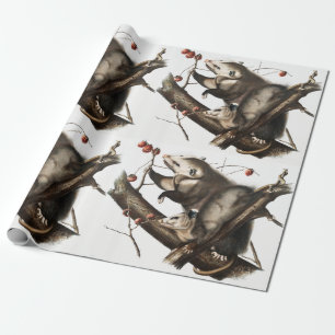Virginiaanse Opossum Didelphis Virginia Illustrati Cadeaupapier
