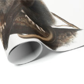 Virginiaanse Opossum Didelphis Virginia Illustrati Cadeaupapier (Rol Hoek)