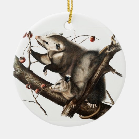 Virginiaanse Opossum Didelphis Virginia Illustrati Keramisch Ornament (Voorkant)