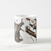 Virginiaanse Opossum Didelphis Virginia Illustrati Koffiemok (Center)