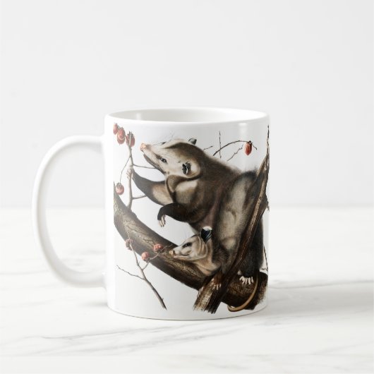 Virginiaanse Opossum Didelphis Virginia Illustrati Koffiemok (Links)