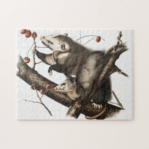 Virginiaanse Opossum Didelphis Virginia Illustrati Legpuzzel