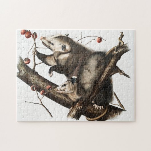 Virginiaanse Opossum Didelphis Virginia Illustrati Legpuzzel (Horizontaal)