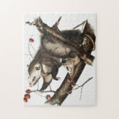 Virginiaanse Opossum Didelphis Virginia Illustrati Legpuzzel (Verticaal)