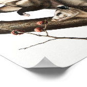 Virginiaanse Opossum Didelphis Virginia Illustrati Poster (Hoek)