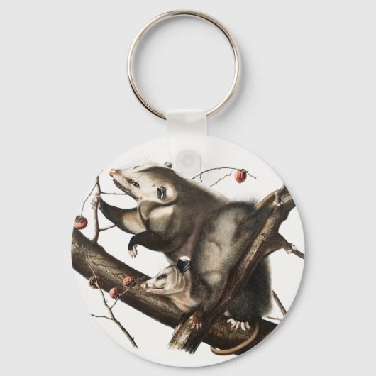 Virginiaanse Opossum Didelphis Virginia Illustrati Sleutelhanger (Voorkant)