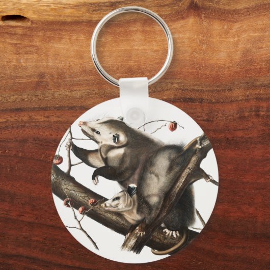 Virginiaanse Opossum Didelphis Virginia Illustrati Sleutelhanger (Voorkant)