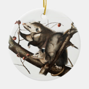 Virginian Opossum Didelphis Virginia Illustratie Keramisch Ornament