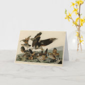 Virginianische patrijs, Amerikaanse vogelvogels va Kaart (Gele Bloem)