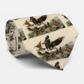 Virginianische patrijs, Amerikaanse vogelvogels va Stropdas (Opgerold)