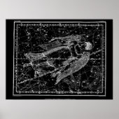 Virgo: Constellatie Bord XVIII Poster (Voorkant)