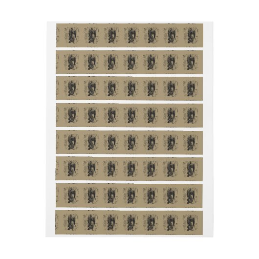 Virgo Constellation Hevelius 1690 aug 23 september (Vel)