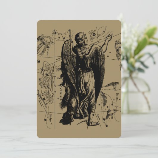 Virgo Constellation Hevelius 1690 aug 23 september (Staand voorkant)