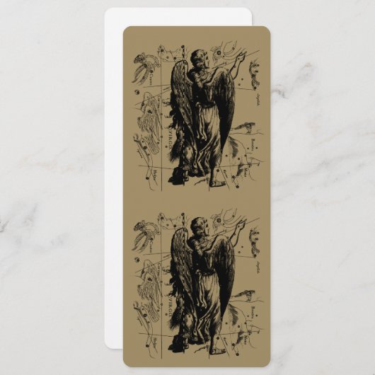 Virgo Constellation Hevelius 1690 aug 23 september (Voorkant / Achterkant)