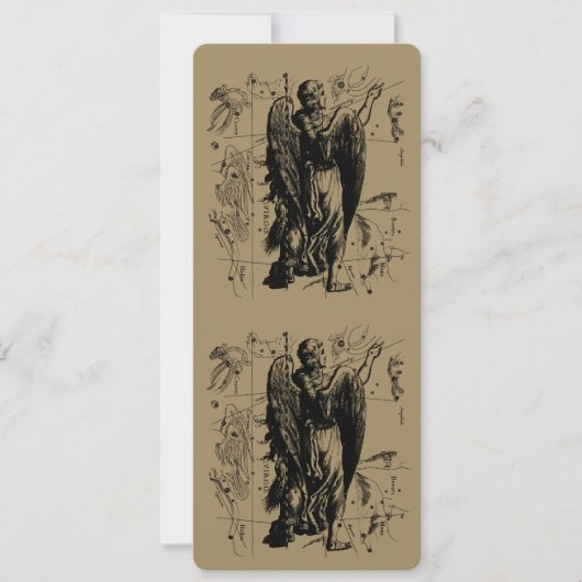 Virgo Constellation Hevelius 1690 aug 23 september (Voorkant)