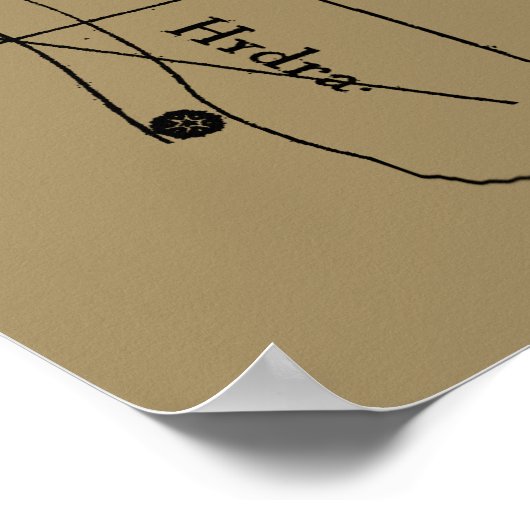 Virgo Constellation Hevelius 1690 aug 23 september Poster (Hoek)