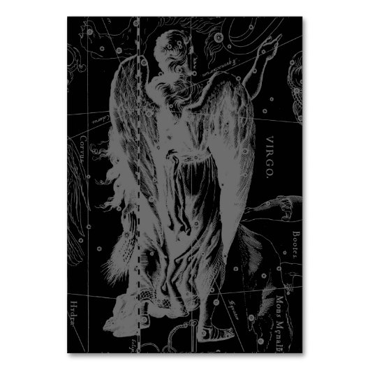 Virgo Constellation Hevelius 1690  Kaart (Voorkant)