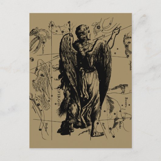 Virgo Constellation Hevelius Etching Style Briefkaart (Voorkant)