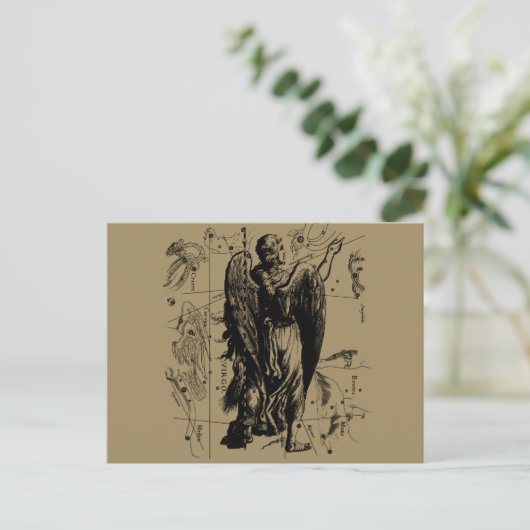 Virgo Constellation Hevelius Etching Style Briefkaart (Staand voorkant)