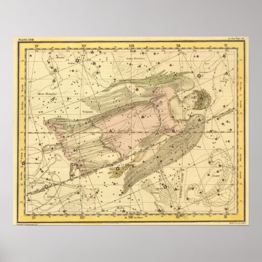 Virgo Poster (Voorkant)