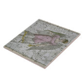 Virgo, van 'A Celestial Atlas', pub. in 1822 (kol. Tegeltje (Zijkant)