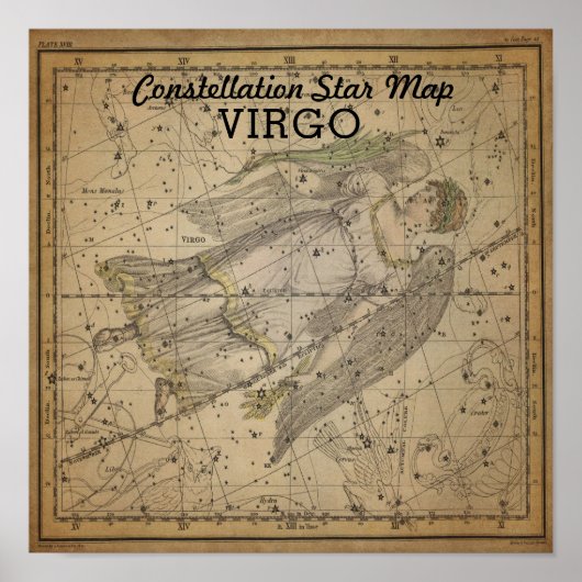 Virgo Virgin Constellation Star Map Bootes Sept Poster (Voorkant)