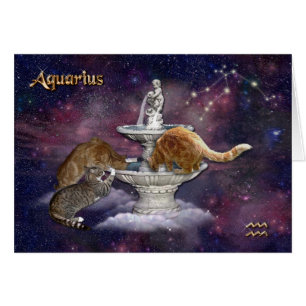 Virgo voor kattenbroodjes