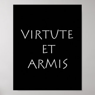 Virtueel en armis poster