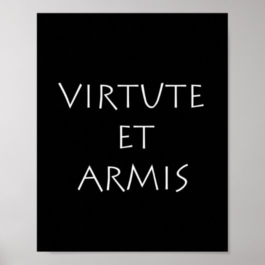 Virtueel en armis poster (Voorkant)