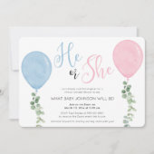 Virtueel geslacht onthullen de ballon van de Water Kaart (Voorkant)