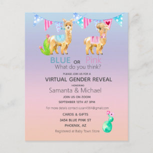 Virtuele Roze Blauwe Lama Waterverf Geslacht Onthu Flyer
