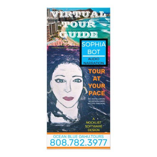 VIRTUELE STAD WAIKIKIKIKI TOURT RECLAMEKAART (Voorkant)